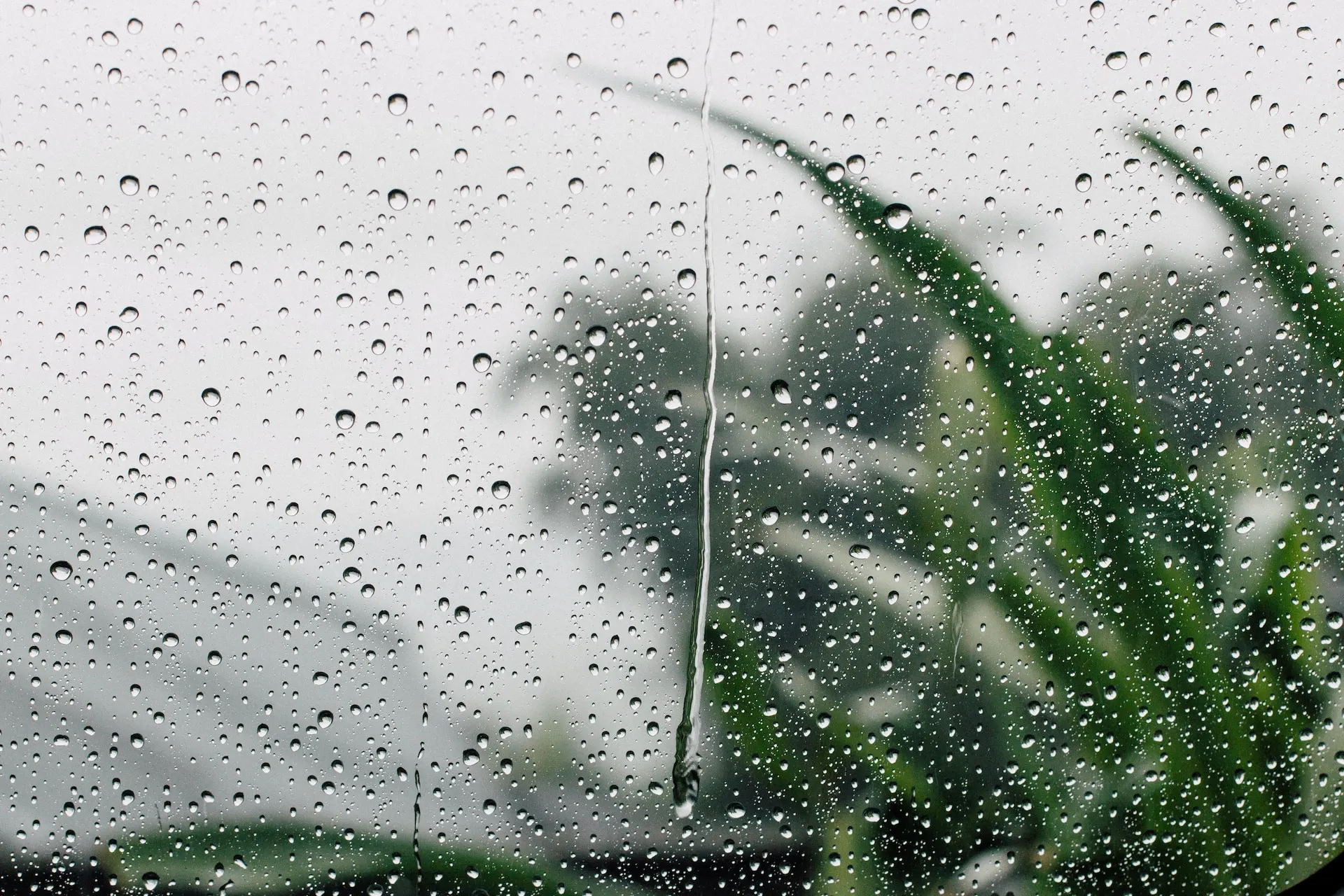 Rainy Day Travel Destinations: Where to Go When It Pours