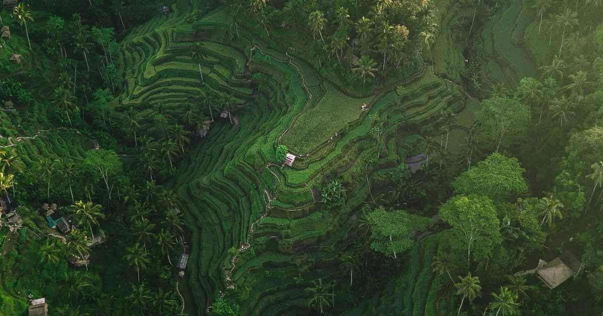 Best Time to Visit Bali: Dry Season vs. Wet Season