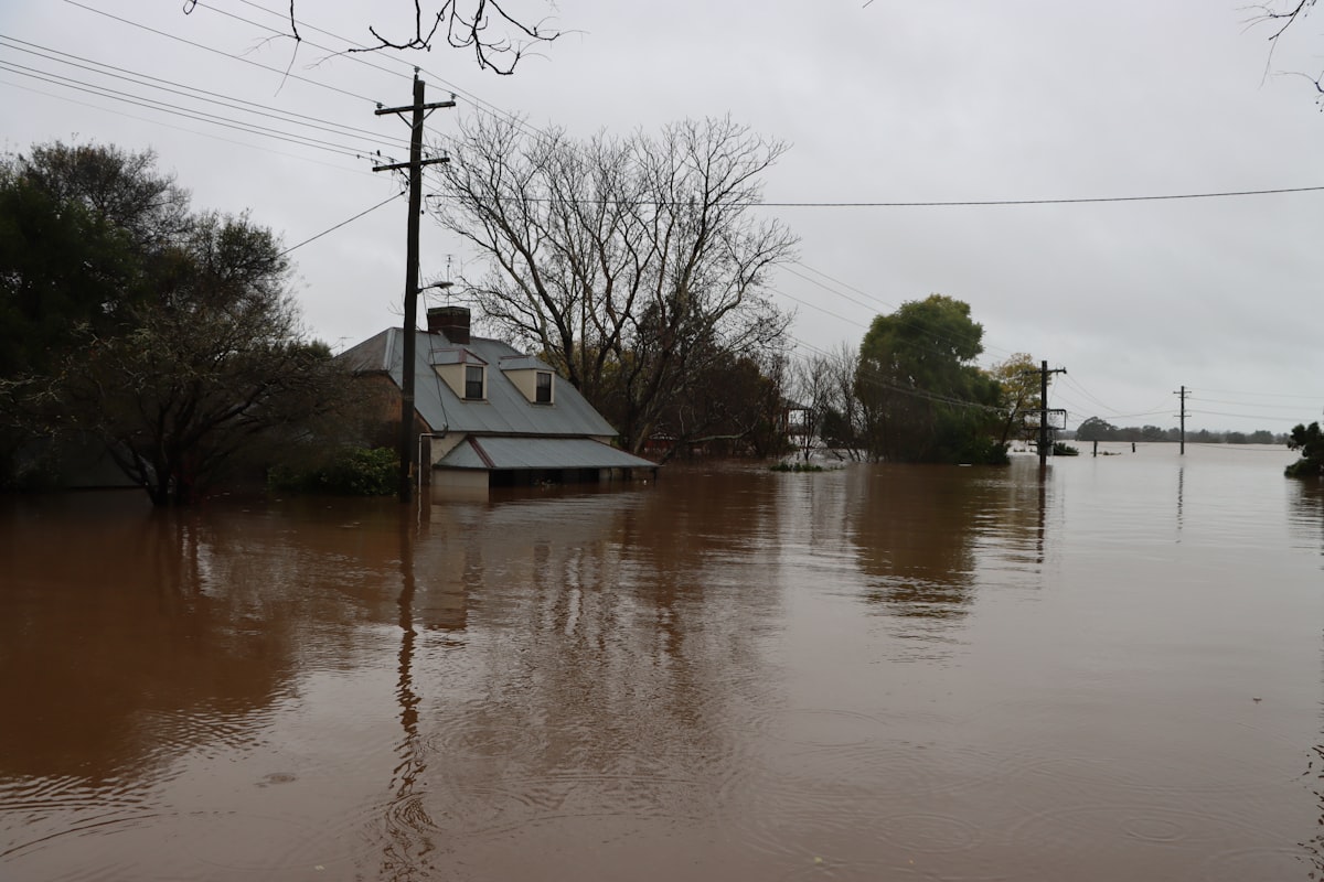 Flash Flood Safety: What to Do Before, During, and After