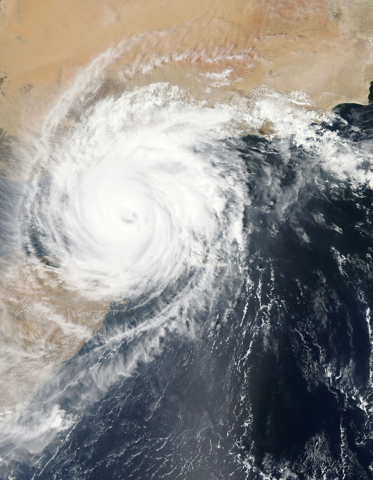 Hurricane Preparedness Checklist: How to Get Ready