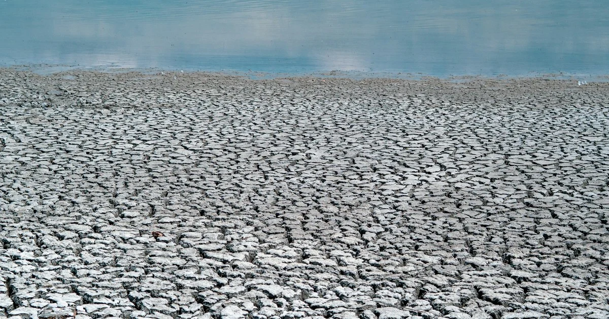 Europe’s 2026 Drought: The Rhine Hits Its Lowest Level Since 1880