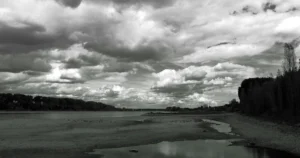 The Rhine at a historically low water level in August 2026, with wide exposed sandy banks, looking upstream from Cologne-Porz-Langel, Germany