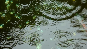Raindrops forming overlapping circular ripples on dark water with green reflections.