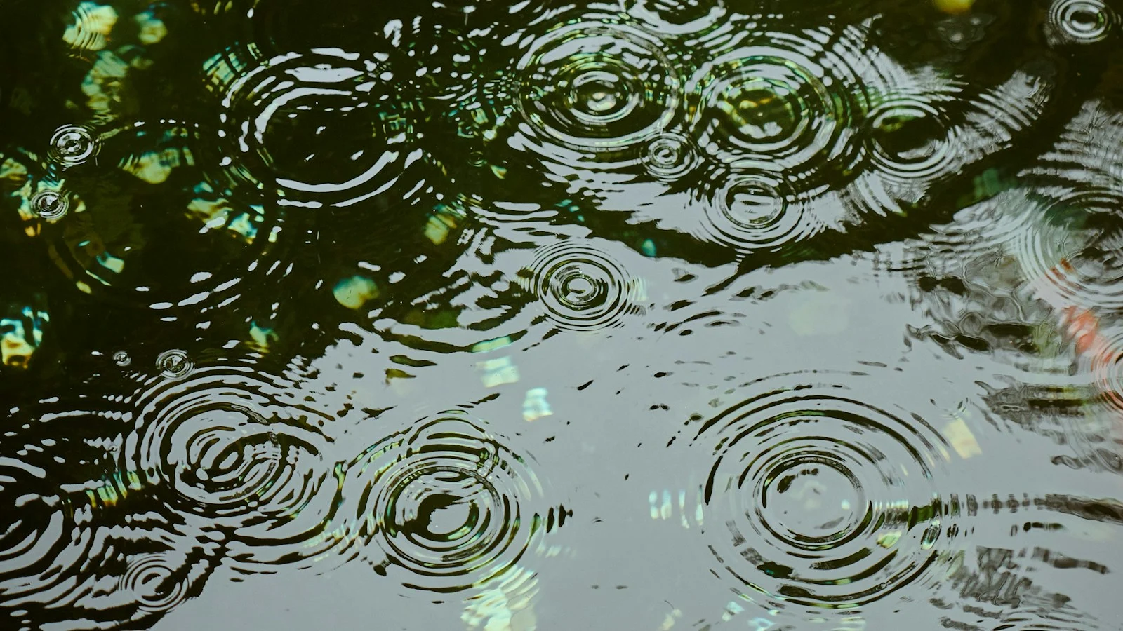 Is 10 mm of Rain a Lot? Rainfall Amounts Explained